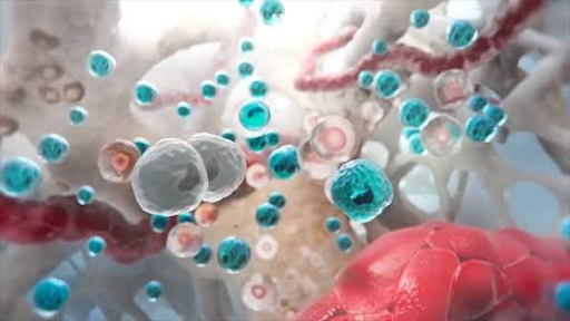 Medical Animation Companies A Complete Guide to Services Benefits and Top Providers